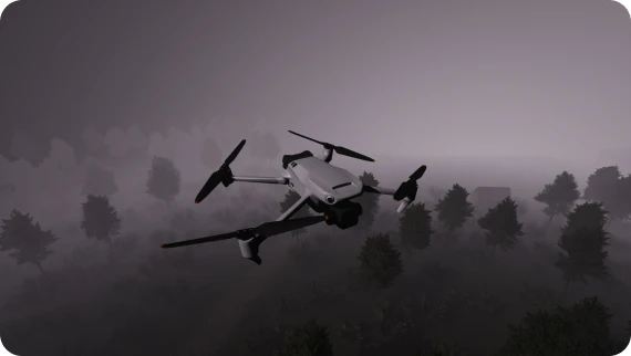 Night. Fog