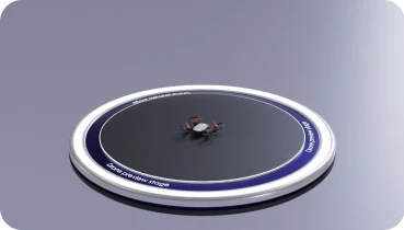 Pioneer Mini
